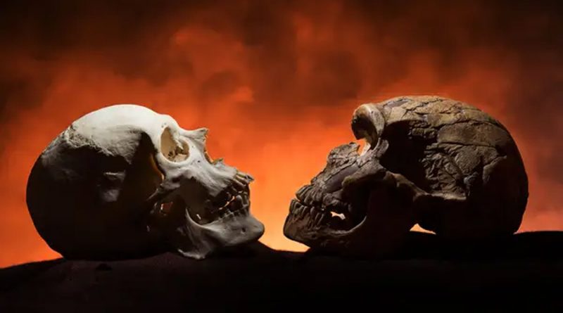 Humanos modernos y neandertales convivieron entre 1,400 y 2,900 años