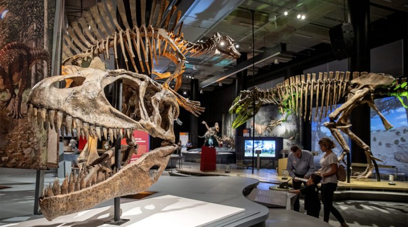 Una exposición en Miami muestra todo de los 'exóticos' dinosaurios del sur