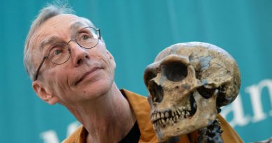 Premio Nobel de Medicina y Fisiología 2022: Buscando a nuestros ancestros