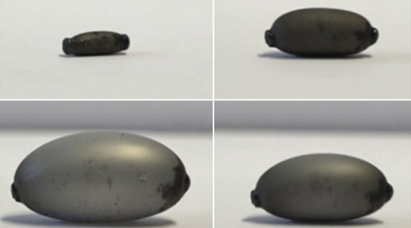 Potente 'robot-píldora' de un milímetro de largo podría cambiar el futuro de la cirugía