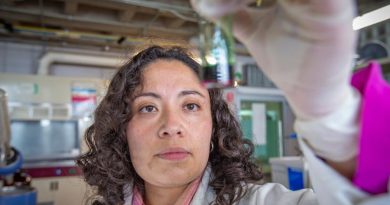 Universidad mexicana desarrolla un nuevo método para el reciclaje del unicel