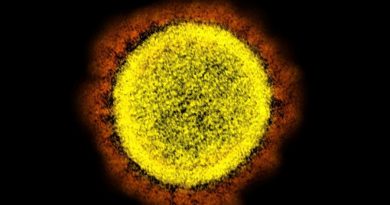 Cómo es el 'coronavirus potenciado', híper contagioso y mortal, que crearon en Estados Unidos