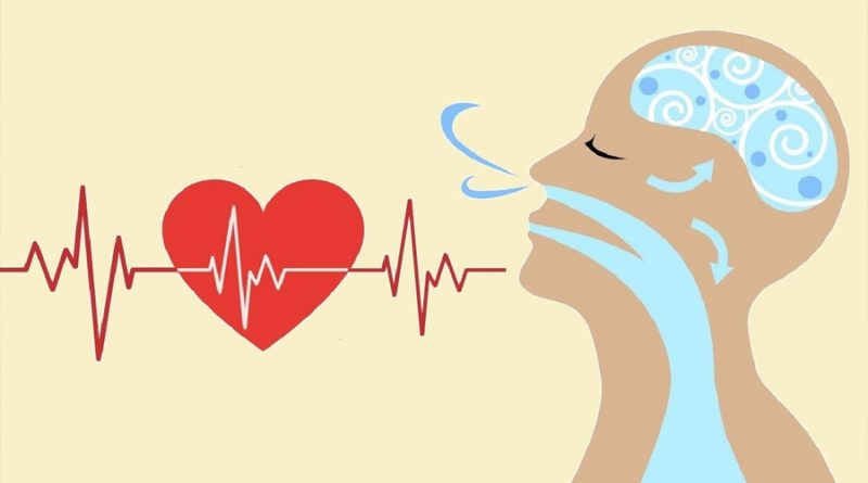 Cómo el ritmo de la respiración afecta al cerebro