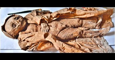 Descubren el cuerpo momificado de un niño del siglo XVI con un severo déficit de vitamina D