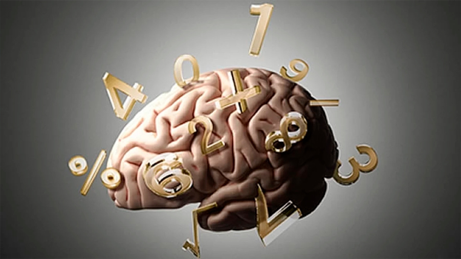 El cerebro procesa mejor los números de abajo a arriba