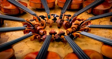 Químicos revelaron nuevo secreto de los violines de Stradivarius