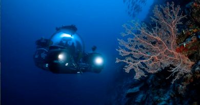 Científicos descubren en las Maldivas un nuevo ecosistema que está formando un 'oasis de vida'