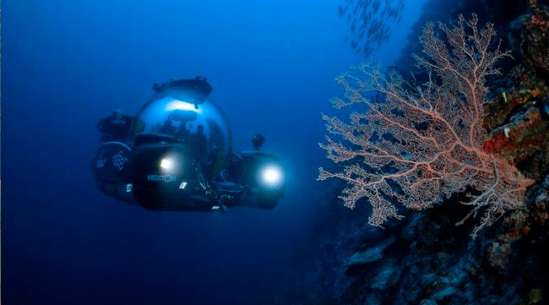 Científicos descubren en las Maldivas un nuevo ecosistema que está formando un 'oasis de vida'