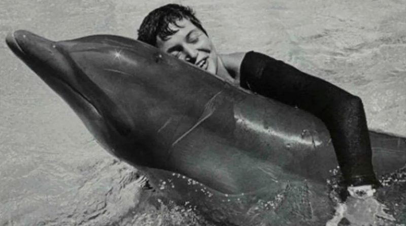 La mujer que sostuvo un vínculo sexual con un delfín en experimento de la NASA