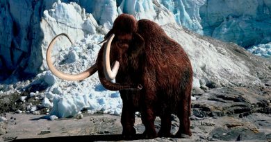 El plan de la ciencia para resucitar al mamut