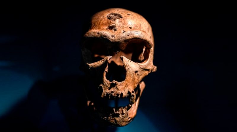 El sexo con humanos llevó a los neandertales a la extinción hace 28,000 años, sugiere un estudio