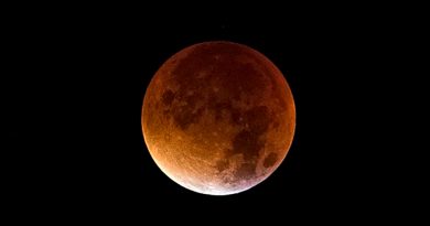 Eclipse total de luna será visible en México este 8 de noviembre