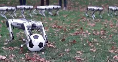 Perro robot sorprende por su habilidad, es todo un arquero de fútbol