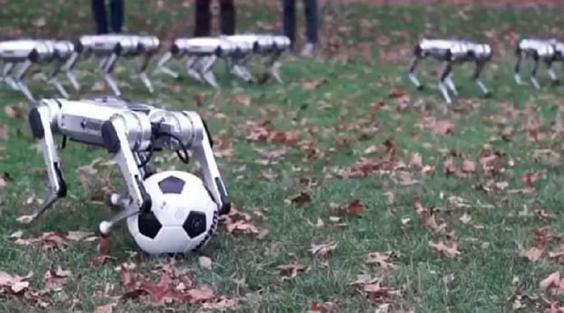Perro robot sorprende por su habilidad, es todo un arquero de fútbol