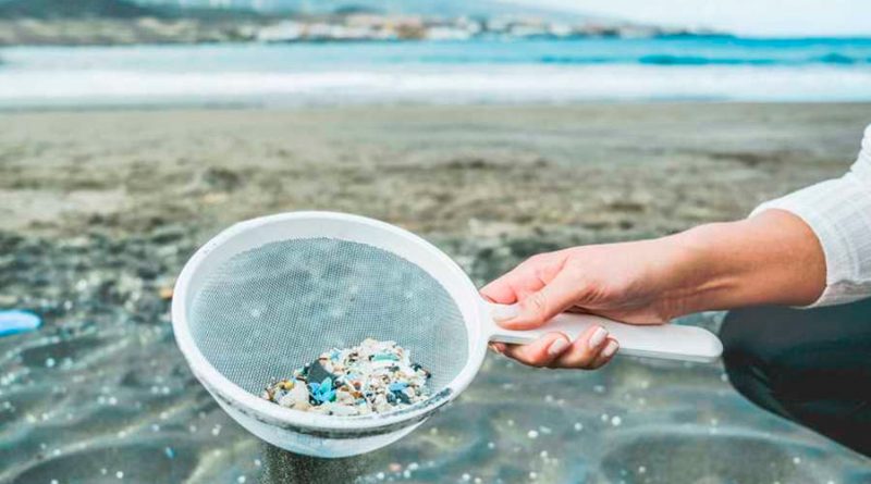 Investigadores alertan de la abundancia de microplásticos en lagunas costeras de todo el mundo