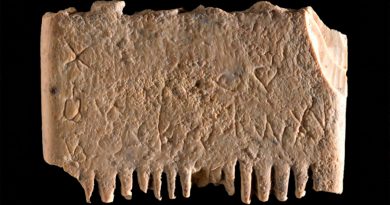 Descubren una de las oraciones más antiguas jamás escritas en un peine de 3.700 años