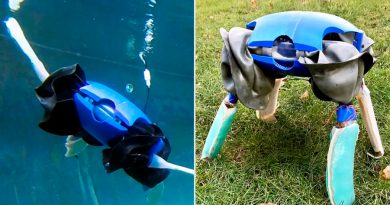 Crean robot anfibio inspirado en las tortugas capaz de moverse en tierra y agua