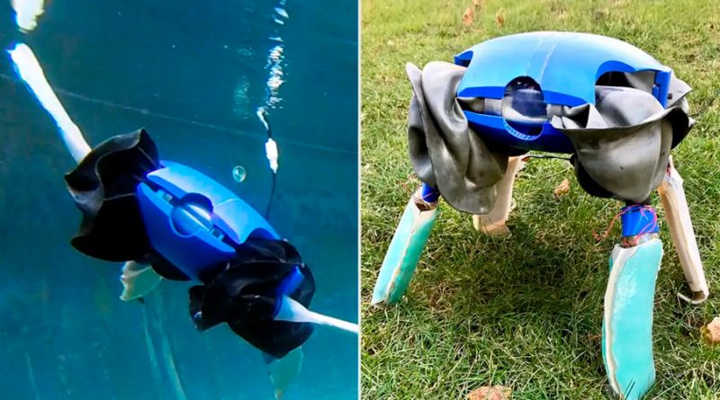 Crean robot anfibio inspirado en las tortugas capaz de moverse en tierra y agua