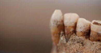 La historia de la alimentación prehistórica a través del sarro dental