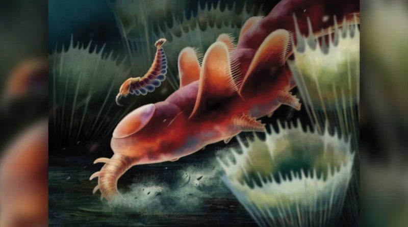 Descubren misteriosas formas de vida oceánicas anteriores a los dinosaurios