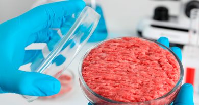 EU aprueba carne cultivada en laboratorio para consumo humano