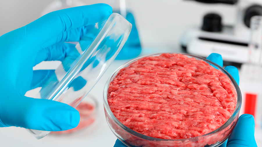 EU aprueba carne cultivada en laboratorio para consumo humano