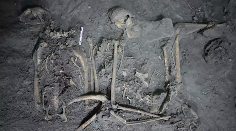Encuentran esqueleto de un mono araña de 1,700 años de antigüedad en Teotihuacán, México