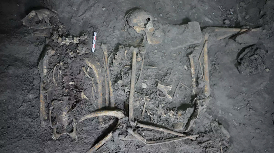 Encuentran esqueleto de un mono araña de 1,700 años de antigüedad en Teotihuacán, México