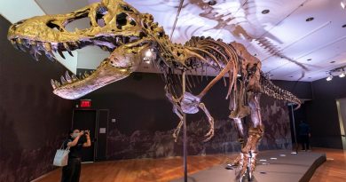 Ligamentos especiales aportaron a T. Rex un juego de pies imbatible