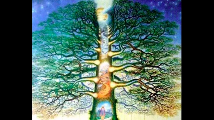 Qué significa que te regalen el árbol de la vida