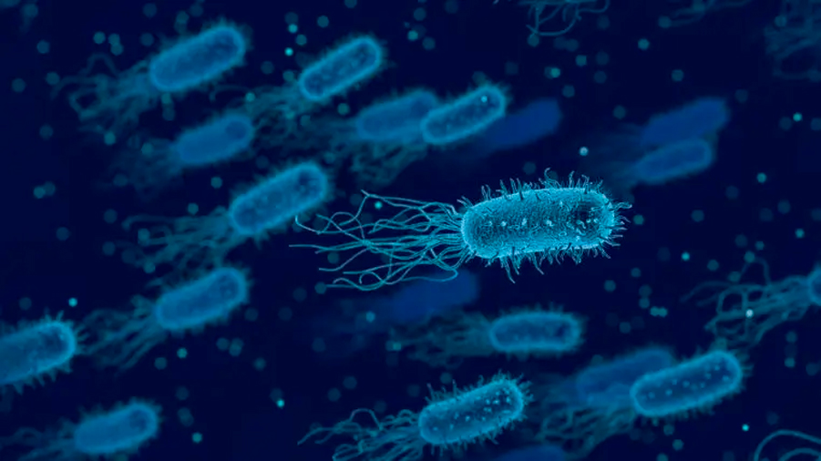 Las infecciones bacterianas comunes son ya la segunda causa de muerte en el mundo