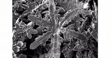 Copos de nieve metálicos prueban la nueva ingeniería a nanoescala
