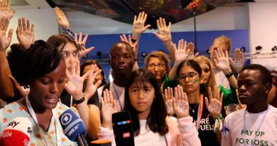 El fenómeno Greta Thunberg: niños activistas contra el cambio climático