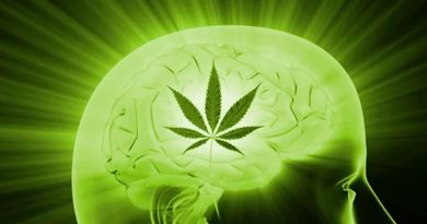 Químico de cannabis evitaría recaídas en personas que se recuperan de adicciones