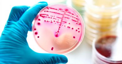 Descubren un nuevo truco de las bacterias para evitar los antibióticos