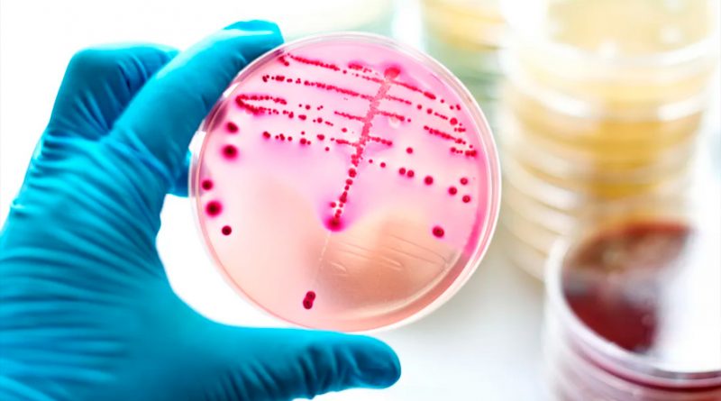 Descubren un nuevo truco de las bacterias para evitar los antibióticos