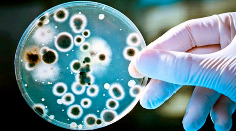 Investigadores diseñan un nuevo antibiótico prometedor contra bacterias multirresistentes