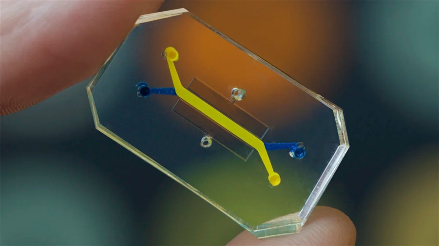 Este diminuto dispositivo parece un chip, pero ni te imaginas lo que es en realidad