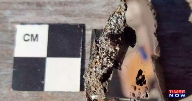 Los científicos descubren dos nuevos minerales que pesan 15000 kg, el noveno meteorito más grande en golpear la Tierra