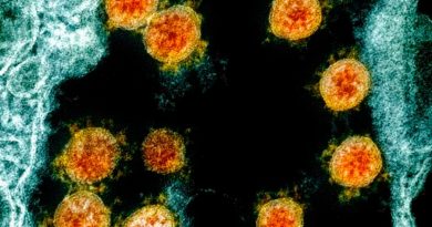 Descubren 100,000 nuevos tipos de virus ARN desconocidos por la ciencia