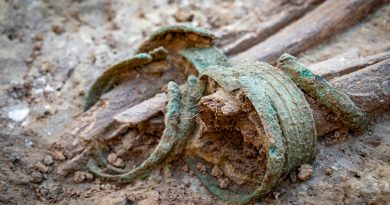 Descubren ricos ajuares funerarios en una necrópolis de la Edad del Bronce en Francia