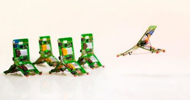 Diseñan robots inspirados en hormigas para escapar de la cárcel