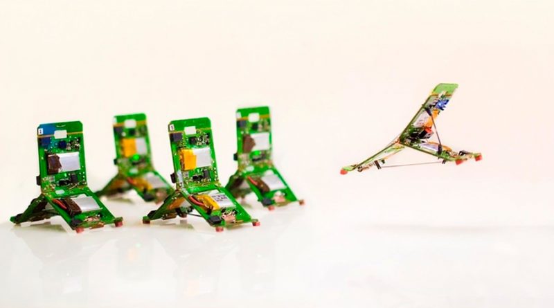 Diseñan robots inspirados en hormigas para escapar de la cárcel