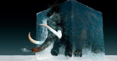Los científicos reencarnan al mamut lanudo para que regrese en 4 años