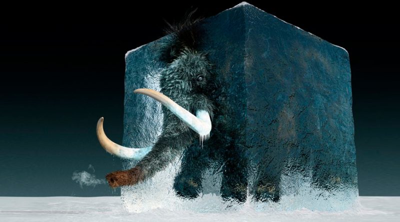 Los científicos reencarnan al mamut lanudo para que regrese en 4 años