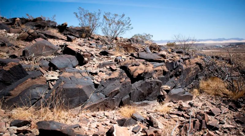 Rocas del desierto mexicano pueden ser claves para búsqueda de vida en Marte: UNAM