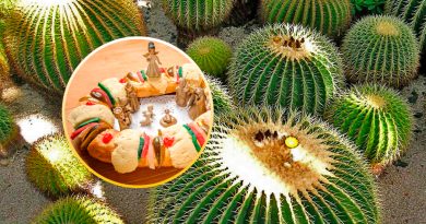 ¿Qué es el acitrón y por qué está prohíbo en la Rosca de Reyes?
