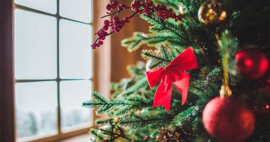 Ese árbol de Navidad que acabas de guardar puede convertirse en combustible renovable