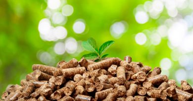 Japoneses descubren un nuevo método para comprimir biomasa vegetal que tiene aplicaciones en bioenergía y medicina