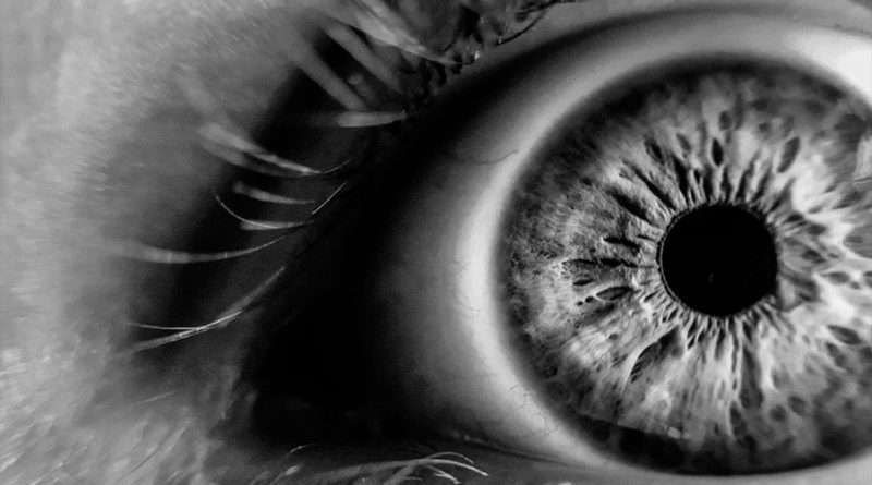 Usan bioimpresión 3D para crear tejido ocular que revele el origen de la ceguera